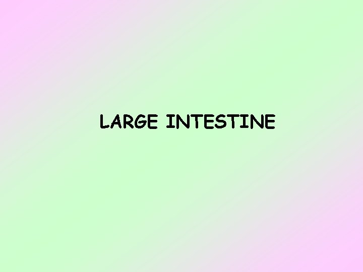 LARGE INTESTINE 