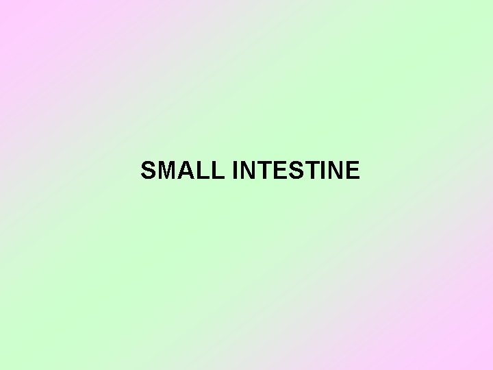 SMALL INTESTINE 