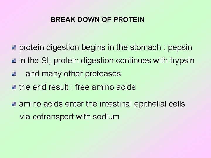 BREAK DOWN OF PROTEIN protein digestion begins in the stomach : pepsin in the