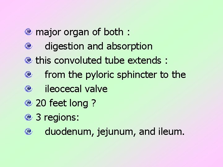 major organ of both : digestion and absorption this convoluted tube extends : from