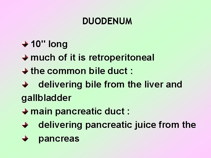 DUODENUM 10" long much of it is retroperitoneal the common bile duct : delivering