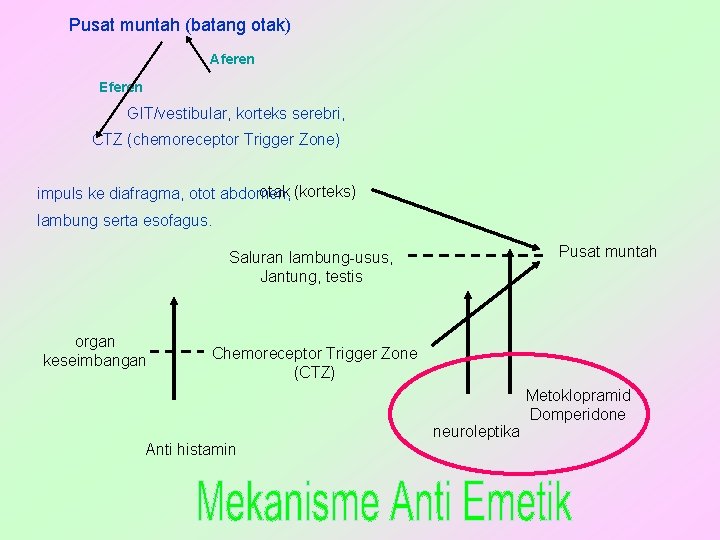 Pusat muntah (batang otak) Aferen Eferen GIT/vestibular, korteks serebri, CTZ (chemoreceptor Trigger Zone) otak