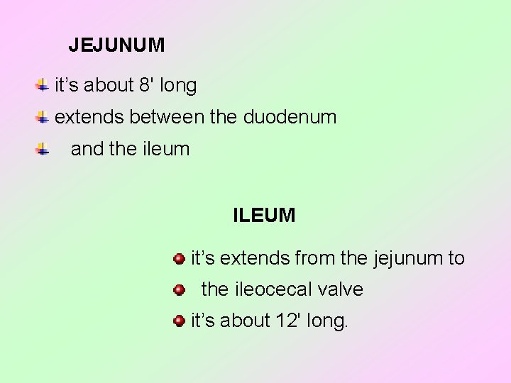 JEJUNUM it’s about 8' long extends between the duodenum and the ileum ILEUM it’s