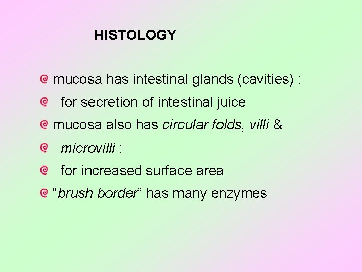 HISTOLOGY mucosa has intestinal glands (cavities) : for secretion of intestinal juice mucosa also