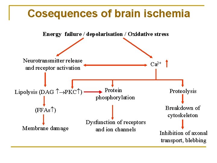 Pathogenesis of Cerebral Infarction at Cellular Molecular Levels