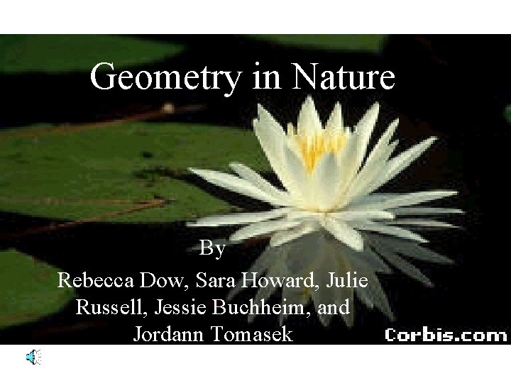 Geometry in Nature By Rebecca Dow, Sara Howard, Julie Russell, Jessie Buchheim, and Jordann