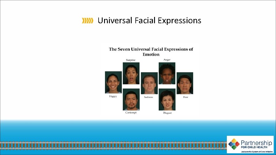 Universal Facial Expressions 