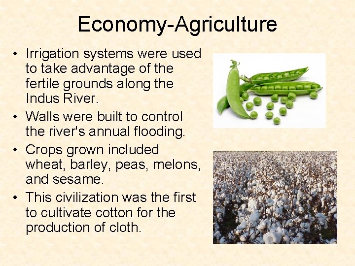 Economy-Agriculture • Irrigation systems were used to take advantage of the fertile grounds along