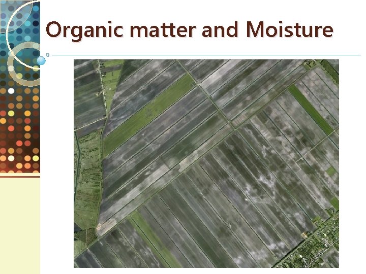 Organic matter and Moisture 