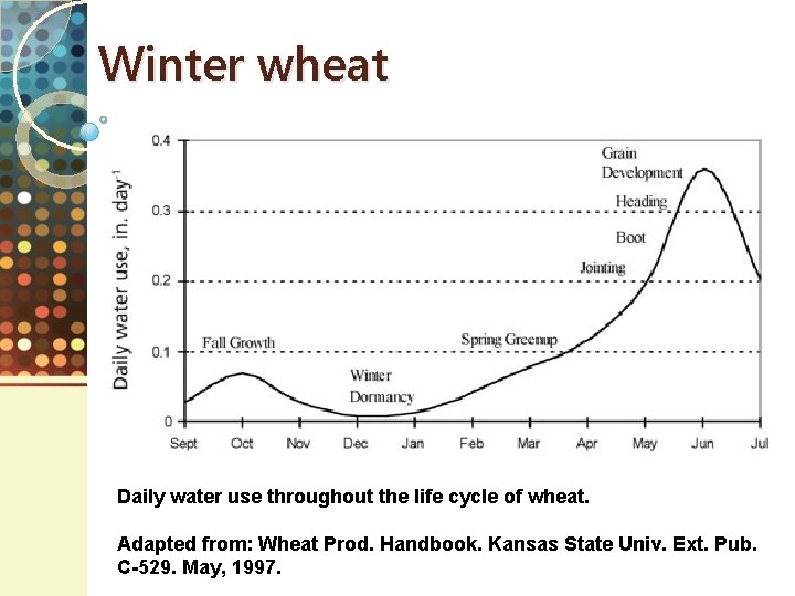 Winter wheat Daily water use throughout the life cycle of wheat. Adapted from: Wheat