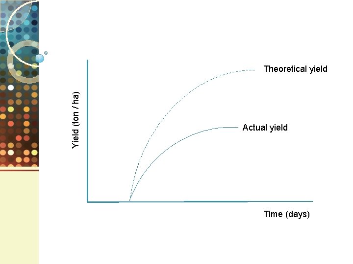 Yield (ton / ha) Theoretical yield Actual yield Time (days) 