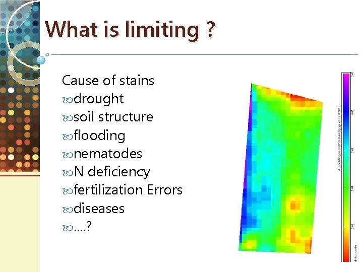 What is limiting ? Cause of stains drought soil structure flooding nematodes N deficiency