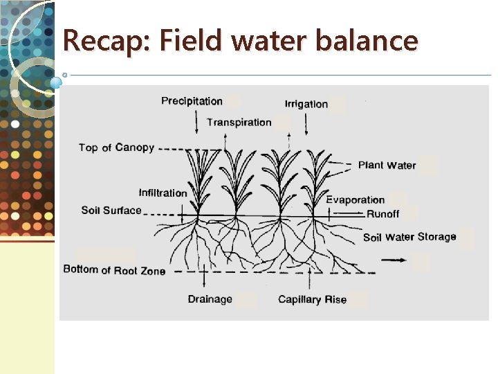 Recap: Field water balance 