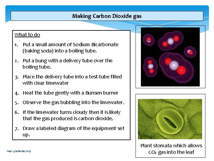 Making Carbon Dioxide gas What to do 1. Put a small amount of Sodium Making Carbon Dioxide gas What to do 1. Put a small amount of Sodium