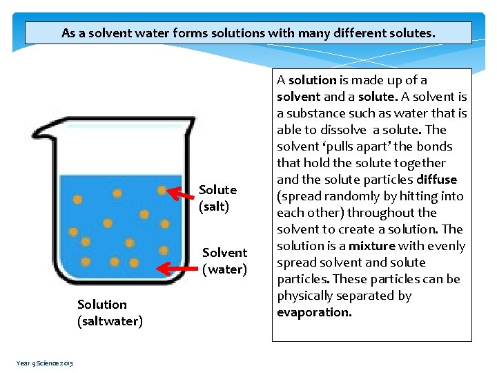 As a solvent water forms solutions with many different solutes. Solute (salt) Solvent (water)