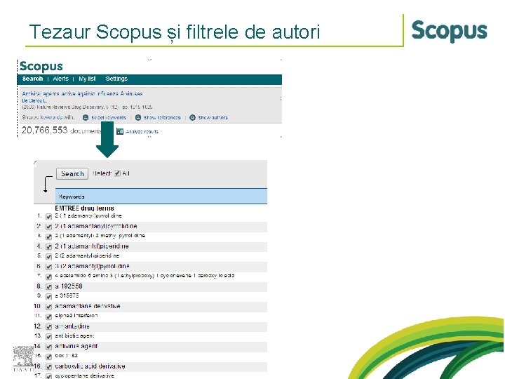 Tezaur Scopus și filtrele de autori 