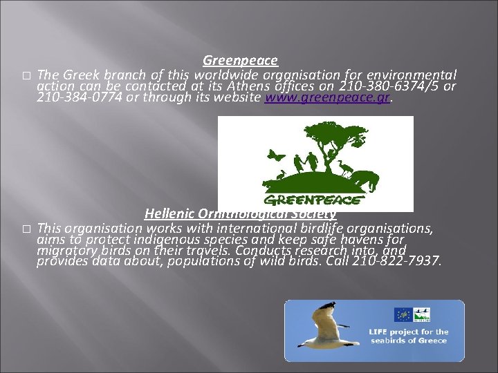 � Greenpeace The Greek branch of this worldwide organisation for environmental action can be