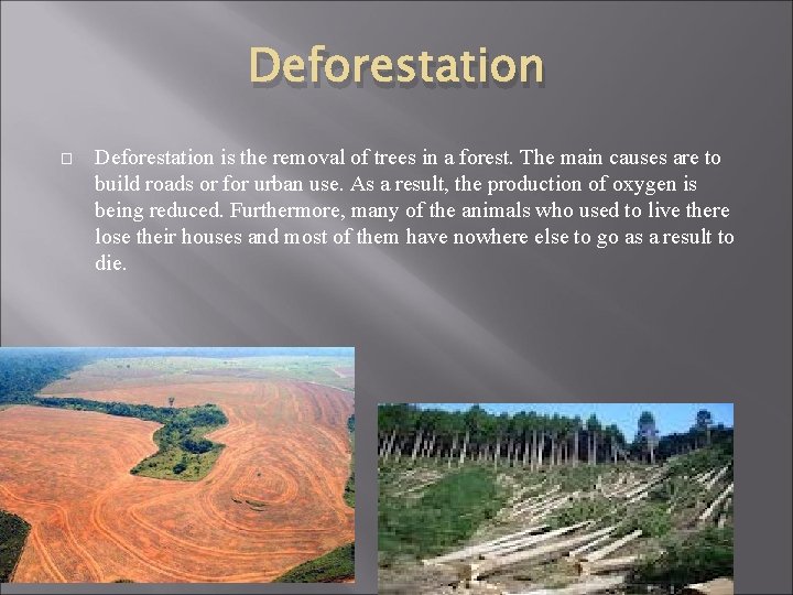 Deforestation � Deforestation is the removal of trees in a forest. The main causes