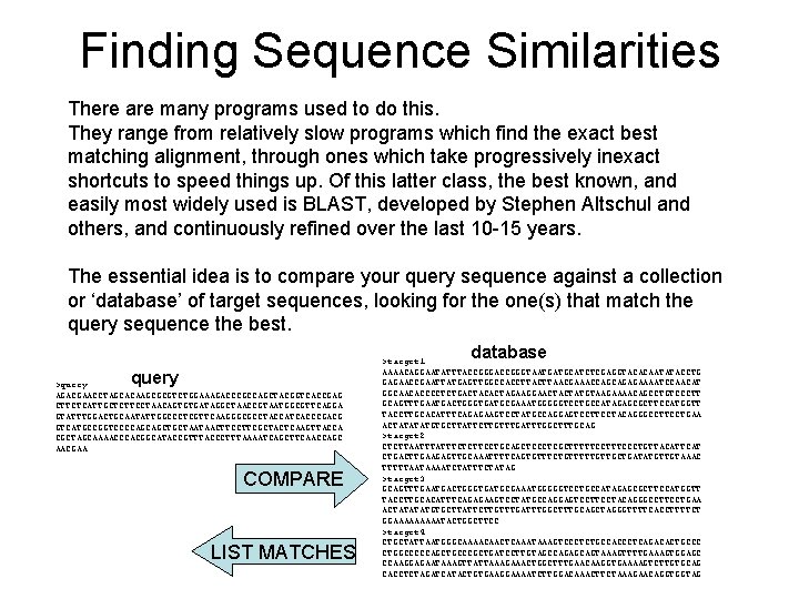 Finding Sequence Similarities There are many programs used to do this. They range from