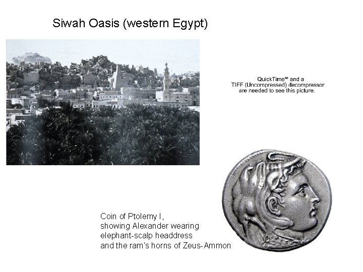 Siwah Oasis (western Egypt) Coin of Ptolemy I, showing Alexander wearing elephant-scalp headdress and