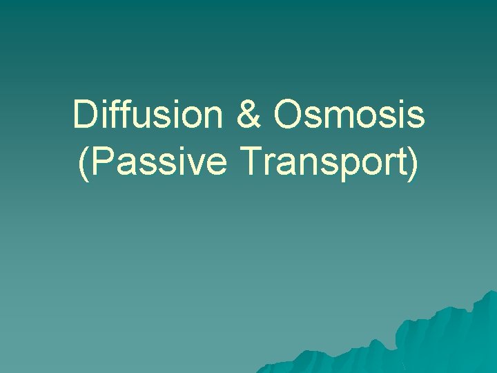 Diffusion & Osmosis (Passive Transport) 