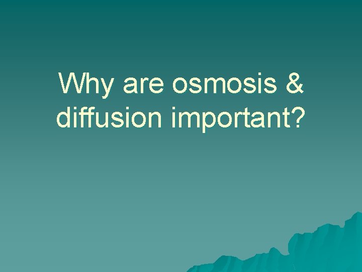 Why are osmosis & diffusion important? 
