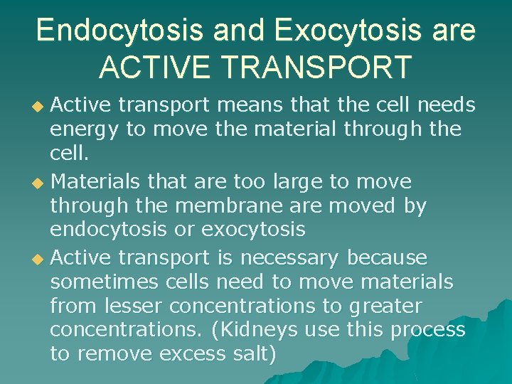 Endocytosis and Exocytosis are ACTIVE TRANSPORT Active transport means that the cell needs energy