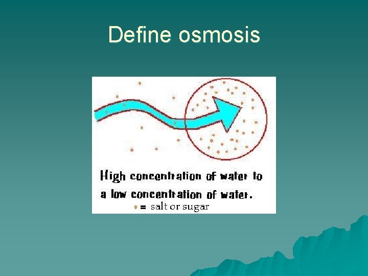 Define osmosis 