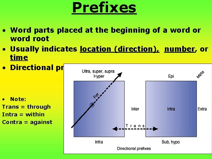 Prefixes • Word parts placed at the beginning of a word or word root