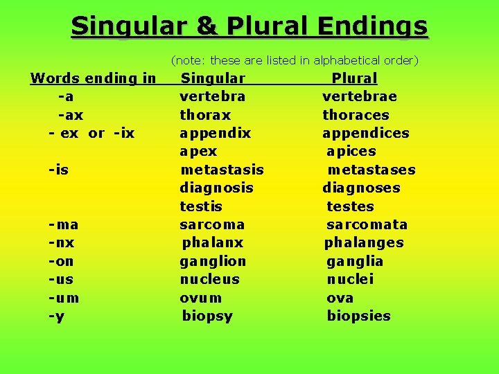 Singular & Plural Endings (note: these are listed in alphabetical order) Words ending in