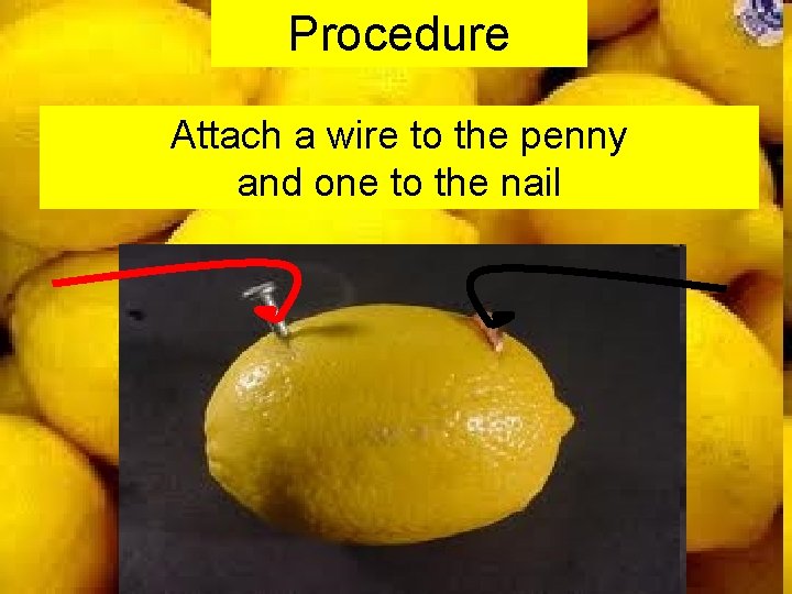 Procedure Attach a wire to the penny and one to the nail 