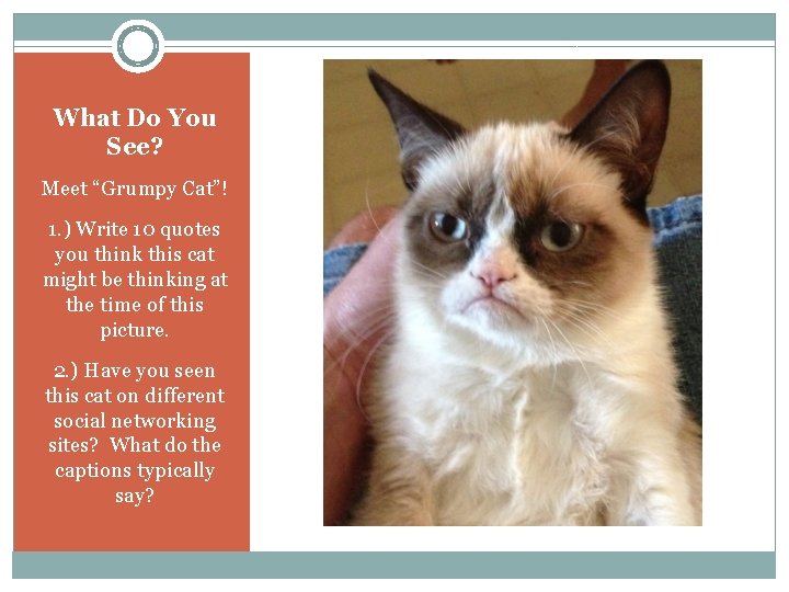 What Do You See? Meet “Grumpy Cat”! 1. ) Write 10 quotes you think