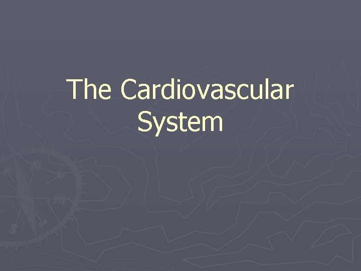 The Cardiovascular System 