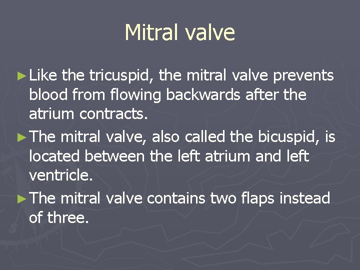 Mitral valve ► Like the tricuspid, the mitral valve prevents blood from flowing backwards