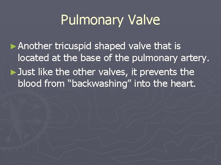 Pulmonary Valve ► Another tricuspid shaped valve that is located at the base of