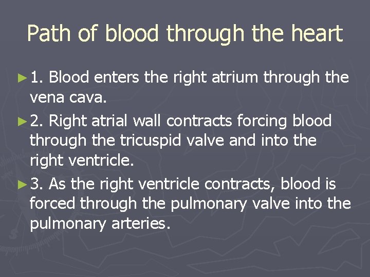 Path of blood through the heart ► 1. Blood enters the right atrium through