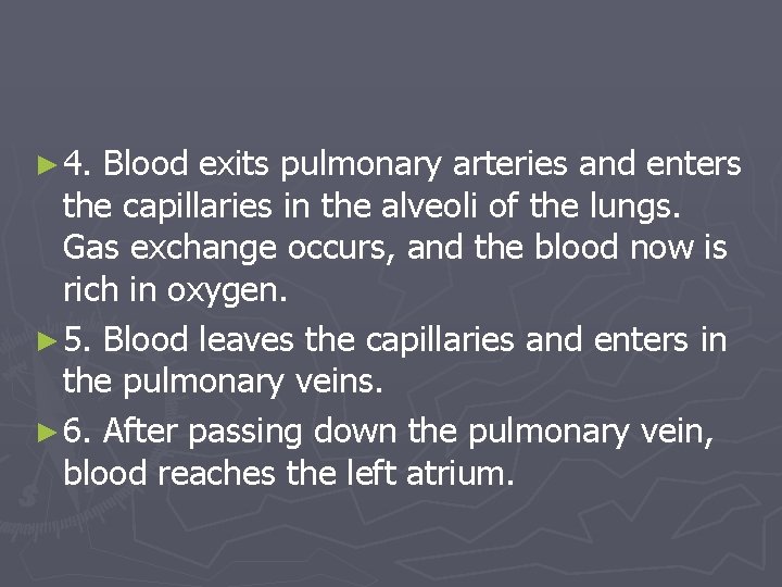 ► 4. Blood exits pulmonary arteries and enters the capillaries in the alveoli of