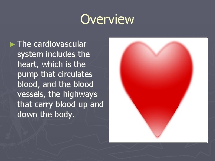 Overview ► The cardiovascular system includes the heart, which is the pump that circulates