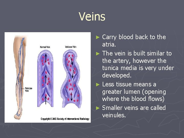 Veins Carry blood back to the atria. ► The vein is built similar to