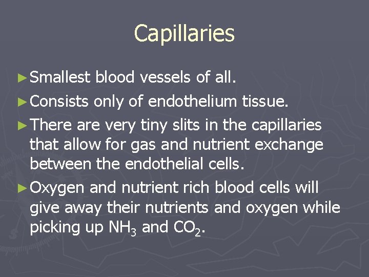 Capillaries ► Smallest blood vessels of all. ► Consists only of endothelium tissue. ►