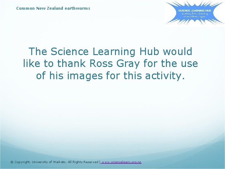 Common New Zealand earthworms The Science Learning Hub would like to thank Ross Gray