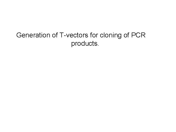 Generation of T-vectors for cloning of PCR products. 