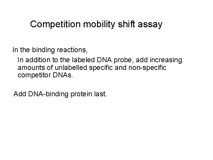 Competition mobility shift assay In the binding reactions, In addition to the labeled DNA