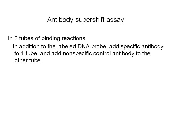 Antibody supershift assay In 2 tubes of binding reactions, In addition to the labeled