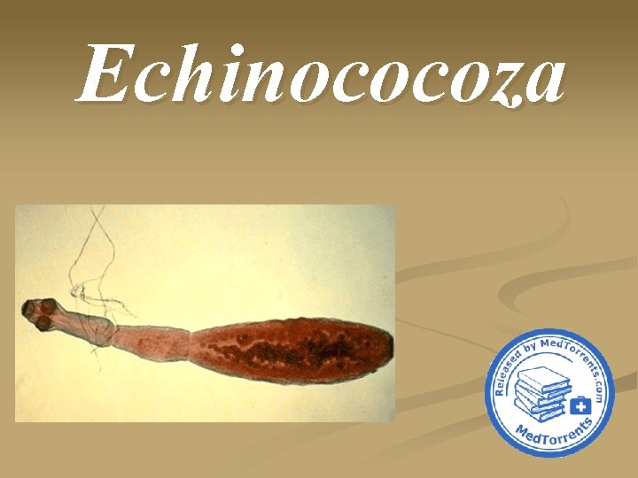 Echinococoza 