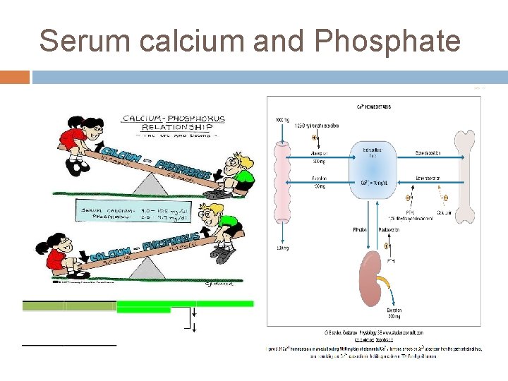 Serum calcium and Phosphate 