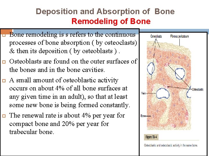 Deposition and Absorption of Bone Remodeling of Bone remodeling is s refers to the
