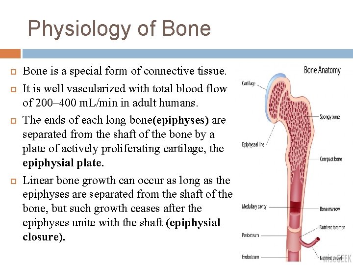 Physiology of Bone is a special form of connective tissue. It is well vascularized
