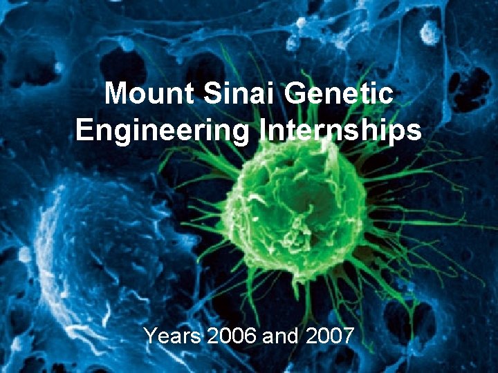 Mount Sinai Engineering Internships Years 2006 and