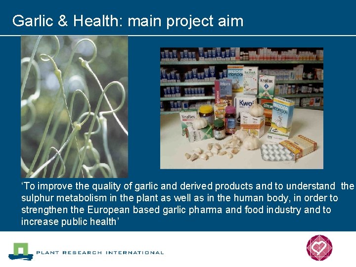 Garlic & Health: main project aim ‘To improve the quality of garlic and derived